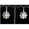 Sterling Shell Earrings (JEW-1387)