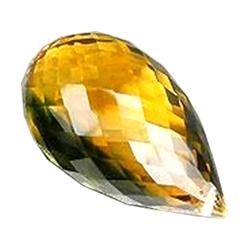 19.45ct Elegant Briolitte Yellow & Green Citrine (GEM-23034B)