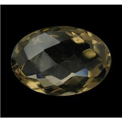 30.96ct Glittering Natural Smoky Quartz (GEM-24148)