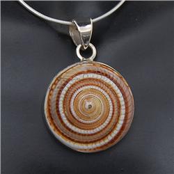 Excellent polished shell set  earrings necklace pendant with sterling silver; $695 retail (JEW-199)