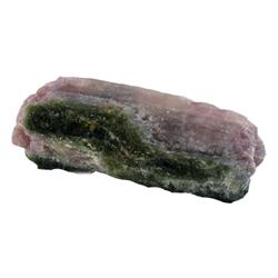 36.83ct Amazing Paraiba Tourmaline Bi Color Rough Brazil (GEM-24674)