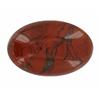 30.12ct Huge Cabochon Jasper Gem  Oval (GEM-20826)