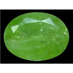 5.5ct Natural Green Oval Peridot Gemstone Pakistan (GEM-24637)