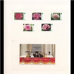 Jersey Mint Margin Single Album Page 6 Pcs (STM-0670)