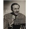 Image 1 : Walt Disney