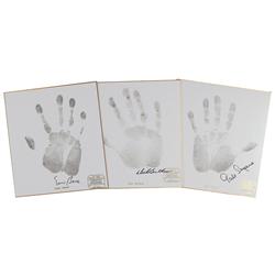 Chicago Sports Legends