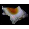 Image 1 : 10.96-Ct GEM ETHIOPIAN OPAL ROUGH