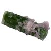 13ct Green Tourmaline Crystal Term. w/Lepidolite (GEM-24337)