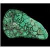 580ct Hi Grade Polished Green Malachite (GEM-20396)
