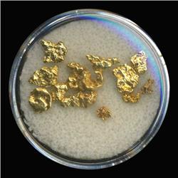 2.32 Gram Lot of Austraila Gold Nuggets 23+k (COI-6289)