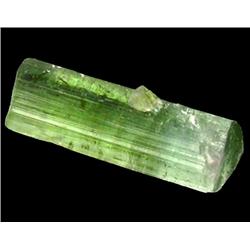 4.44ct Green Tourmaline Crystal Brazil Brazil (GEM-23966B)