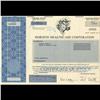 1990s Horizon Healthcare Stock Certificate Scarce (COI-3437)