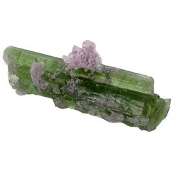 12ct Green Tourmaline Crystal w/Lepidolite Brazil (GEM-24336)