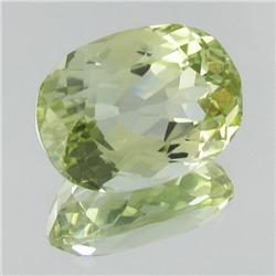 24.14ct Top Patroke Green Kunzite Appraised $10k (GEM-19117)