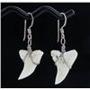 Sterling Shark Ivory Earrings (JEW-1958)