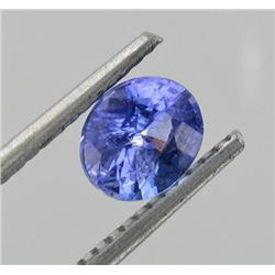 0.75ct Impressive Natural Violet Blue Tanzanite Gem (GEM-19729)