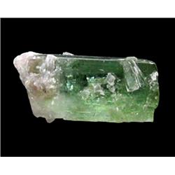 2.79ct Mixed Color Tourmaline Crystal Brazil (GEM-23971A)