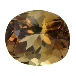 9.75ct Hot Imperial Topaz Appr. Est. $19500 (GEM-26489)