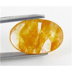 10.0ct Dendrite Opal Natural  (GEM-22686)