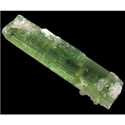 0.75ct Mixed Colors Tourmaline Crystal Brazil (GEM-23965F)