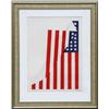 Image 1 : Jacobs, Flag, Serigraph