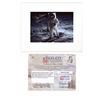 Image 1 : Pass-co Certified Buzz Aldrin Signed Photograph