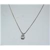 Image 1 : Sterling Silver Pendant w/ Chain