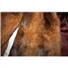 Image 1 : Brown Fur Coat