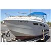Image 25 : Wellcraft Boat & Trailer