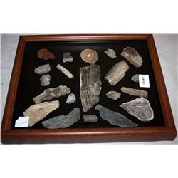 Framed Petrified Wood