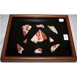 Framed Fossil Artifacts