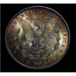Beautifully Toned 1885-o Morgan Dollar Grades Gem Uncirculated ms66