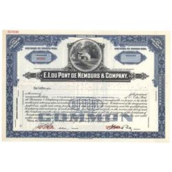 E. I. Dupont De Nemours & Company Inc.