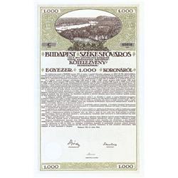 Budapest Szekesfovaros 1918