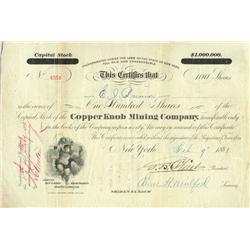 Copper Knob Mining Company
