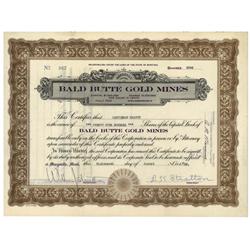 Bald Butte Gold Mines