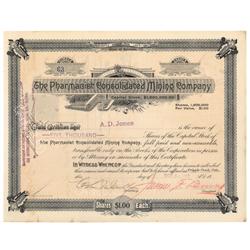 The Pharmacist Consolidated Mining Co.