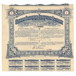 Nevada Goldfield Reduction Co. Of Nevada