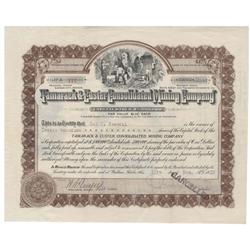 Tamarack & Custer Consolidated Mining Co.