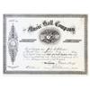 Music Hall Company Stock