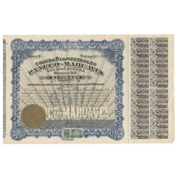 Compania Petrolera De Puebla En Panuco, S.A.