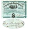 Northern Pacific Railroad Company Stock Issued To August Belmont & Co. And Signed On Verso By August