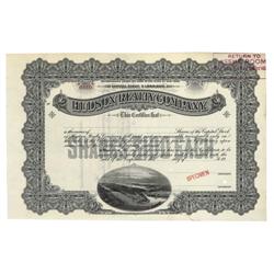 Hudson Realty Company Specimen