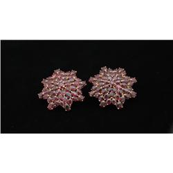 * Fancy Lady's Ruby Earring Set