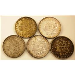 5 Morgan Silver Dollars