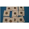 Lot of 10 Indian Head Pennies