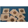 Lot of 10 Buffalo Nickels