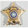 Image 1 : Law Enforcement Badge