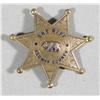 Image 1 : Law Enforcement Badge
