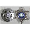 Image 1 : Lot of Two Law Enforcement Badges